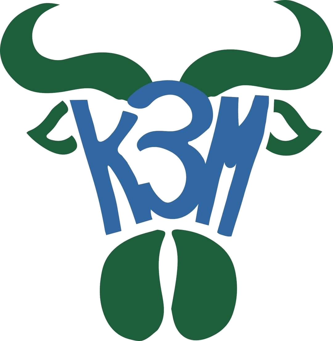 КЗМ лого